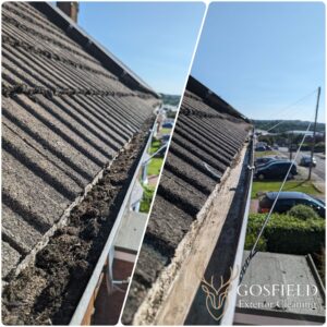 How Much Does Gutter Cleaning Cost in Essex & Suffolk?