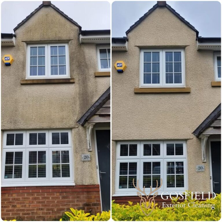 Side by side comparison of a rendered building before and after exterior cleaning. On the left, the building is covered with black and brown moss and algae, looking unkept and dirty. On the right the building looks vibrant, fresh and clean, as though is has been freshly painted.