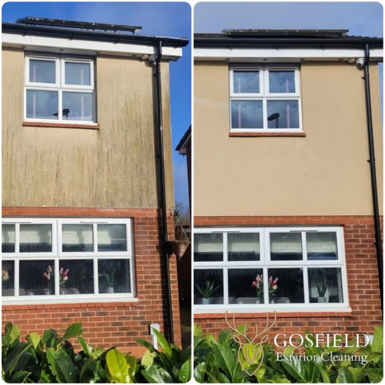 Side by side comparison of a rendered building before and after exterior cleaning. On the left, the building is covered with black and brown moss and algae, looking unkept and dirty. On the right the building looks vibrant, fresh and clean, as though is has been freshly painted.