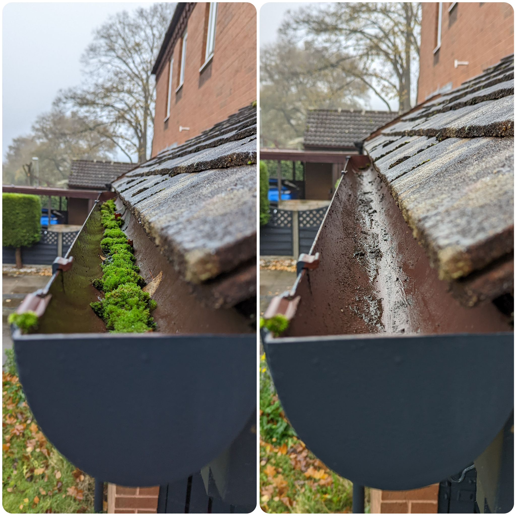 Moss removed during gutter cleaning at residential property in Chelmsford