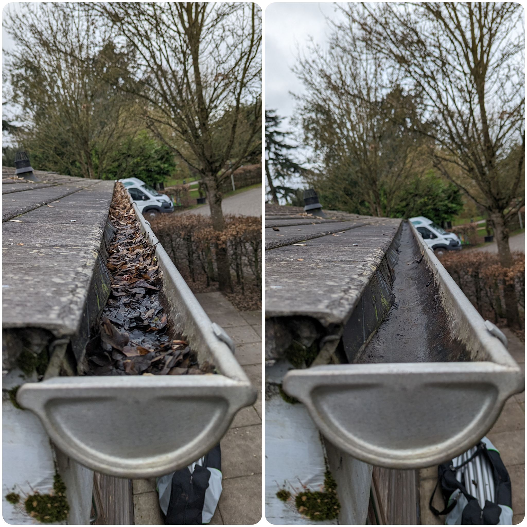 Leaves and debris removed during gutter cleaning in Colchester Essex