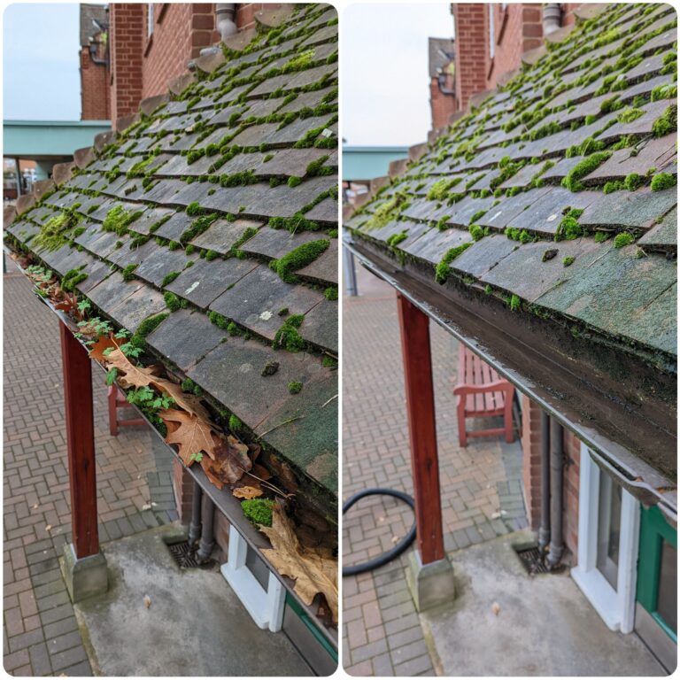 Moss cleared from roof edge during gutter cleaning near Dedham Essex