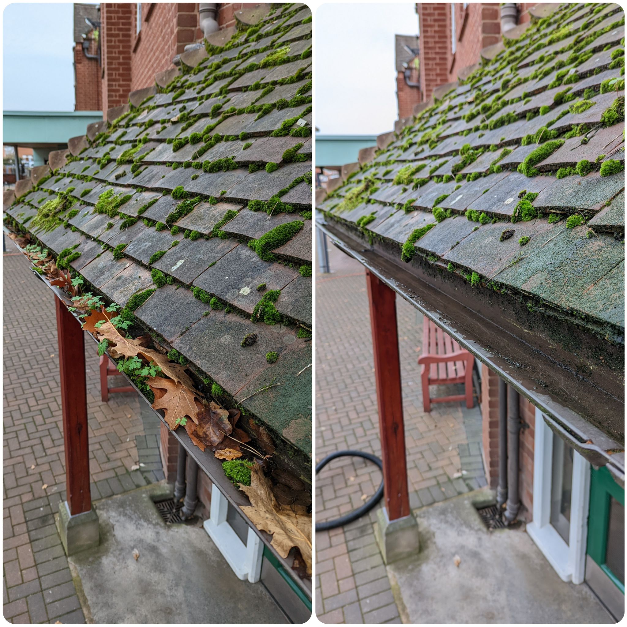 Moss cleared from roof edge during gutter cleaning near Dedham Essex